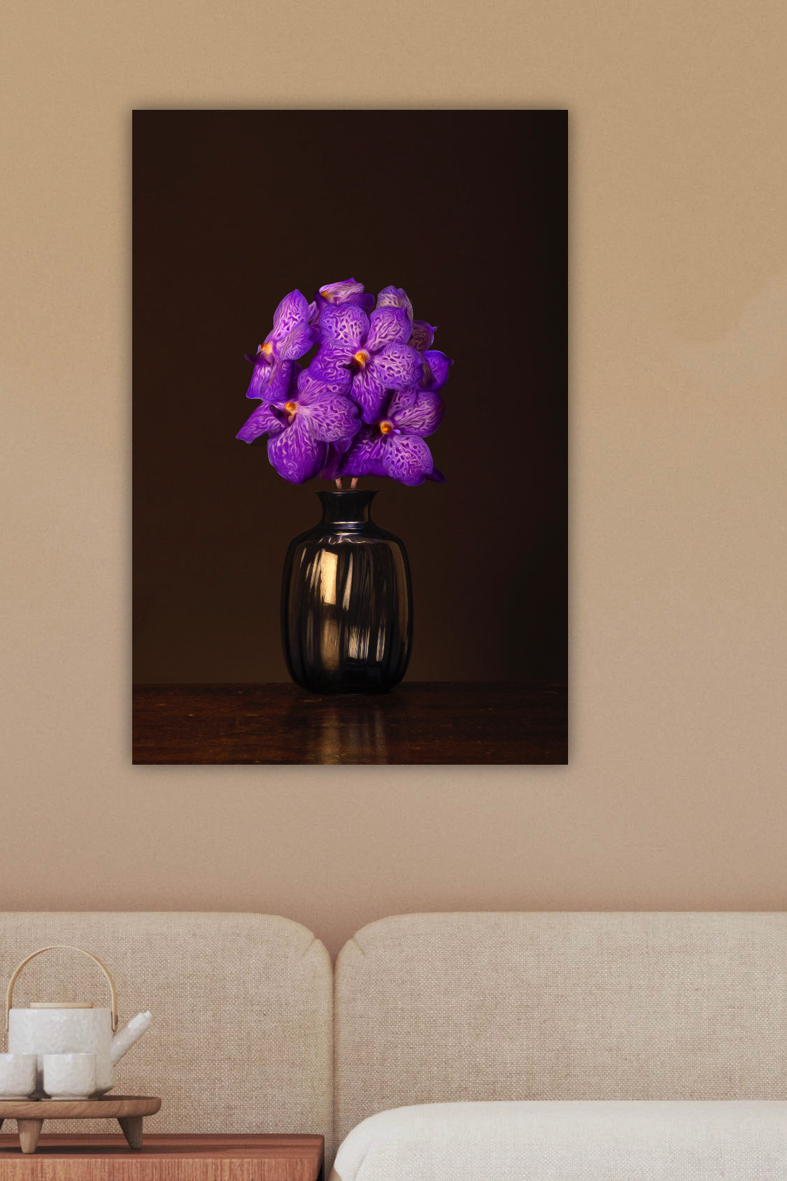 Vanda Venum