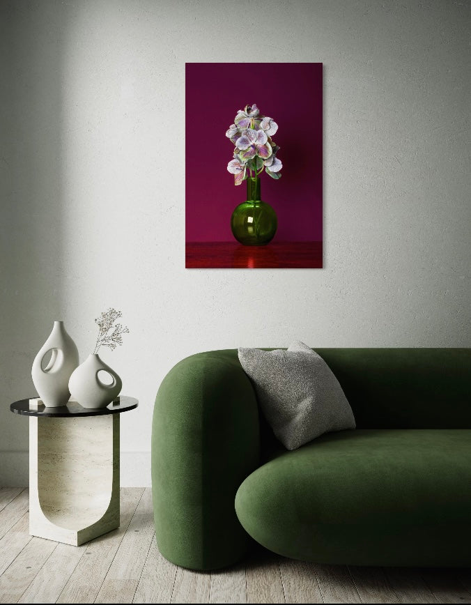 Magenta Muse