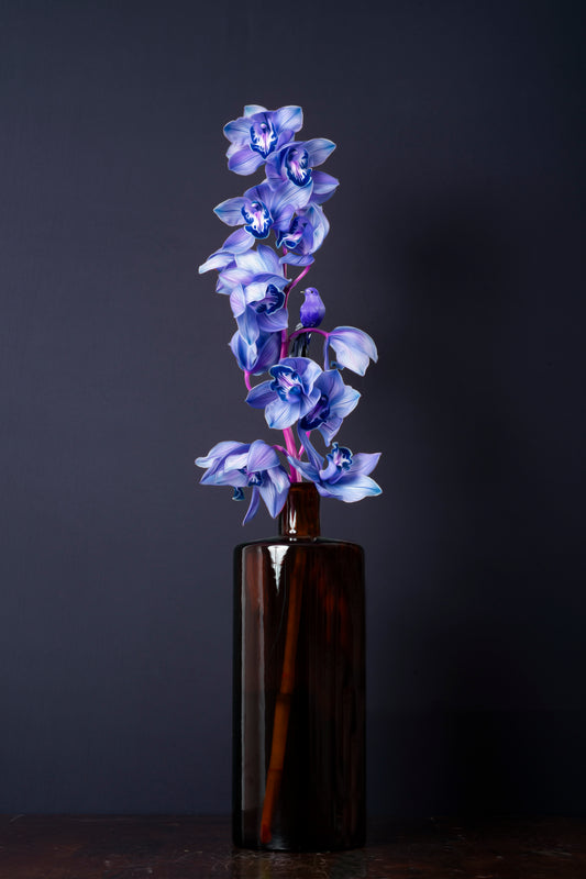 Orchid Blues